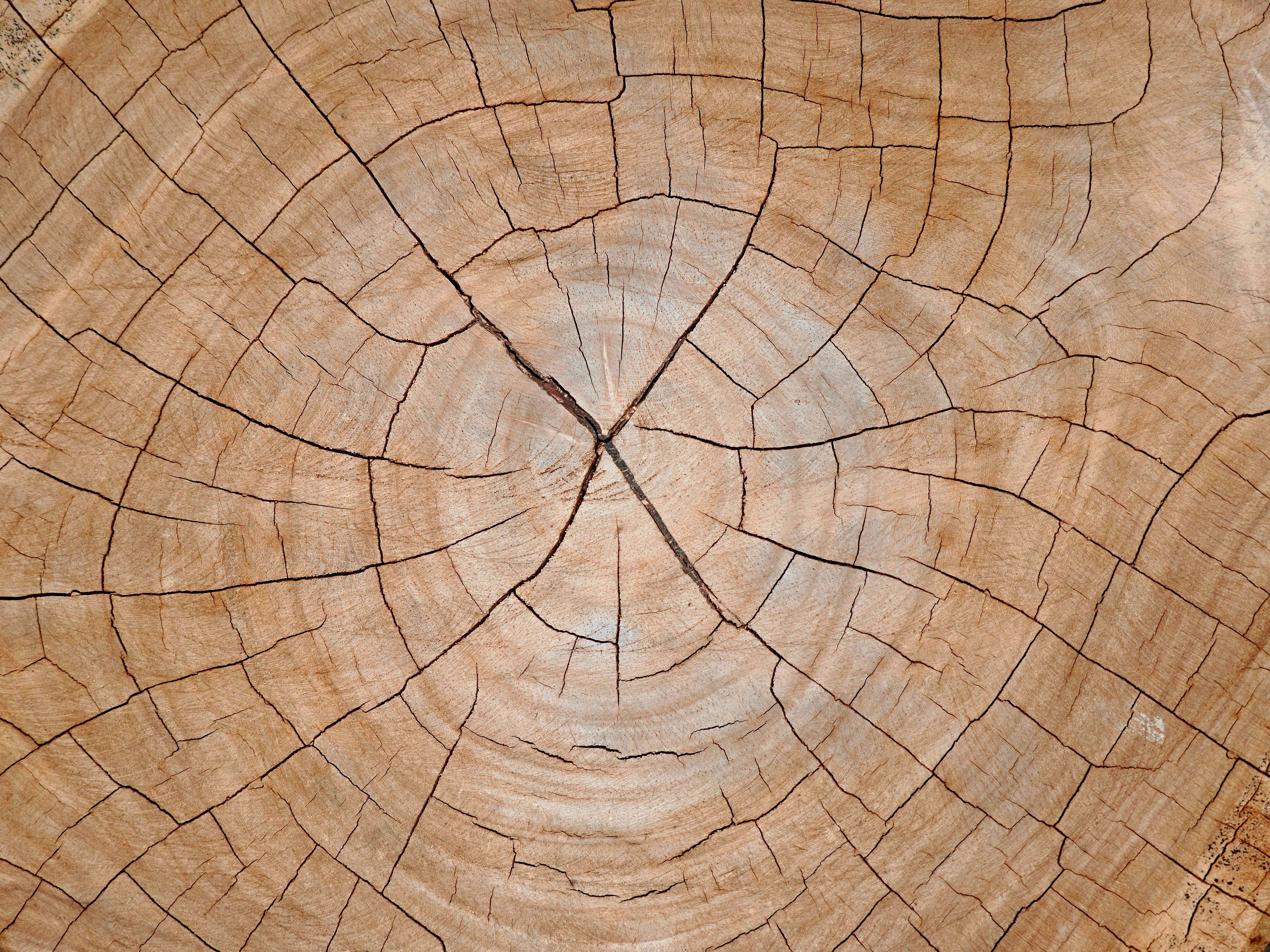 Mantenimiento y optimización